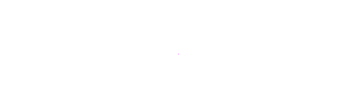 Checkpoint Logo